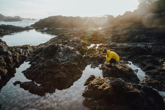 Person exploring the incredible tidepools on the rocky coastline in Ucluelet, BC